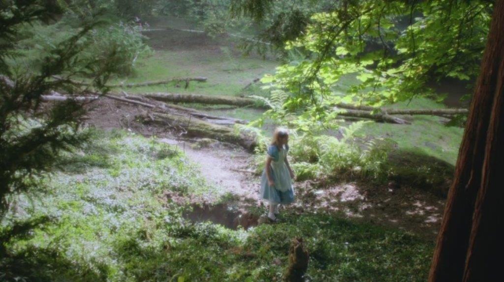 Once Upon a Time in Wonderland 1.01b