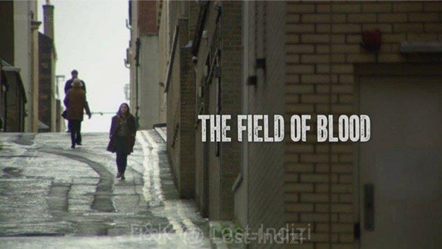 The field of blood